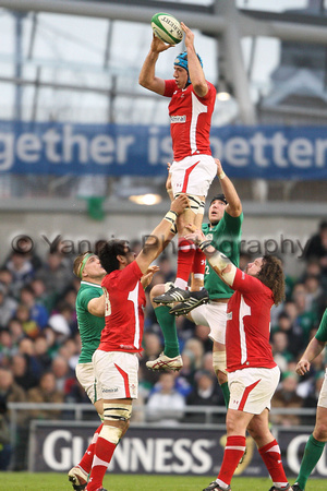 RBS 6 Nations - Ireland v Wales