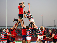 Munster  Leicester Tigers